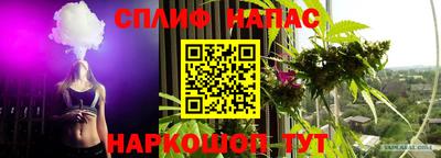 сатива Кумертау