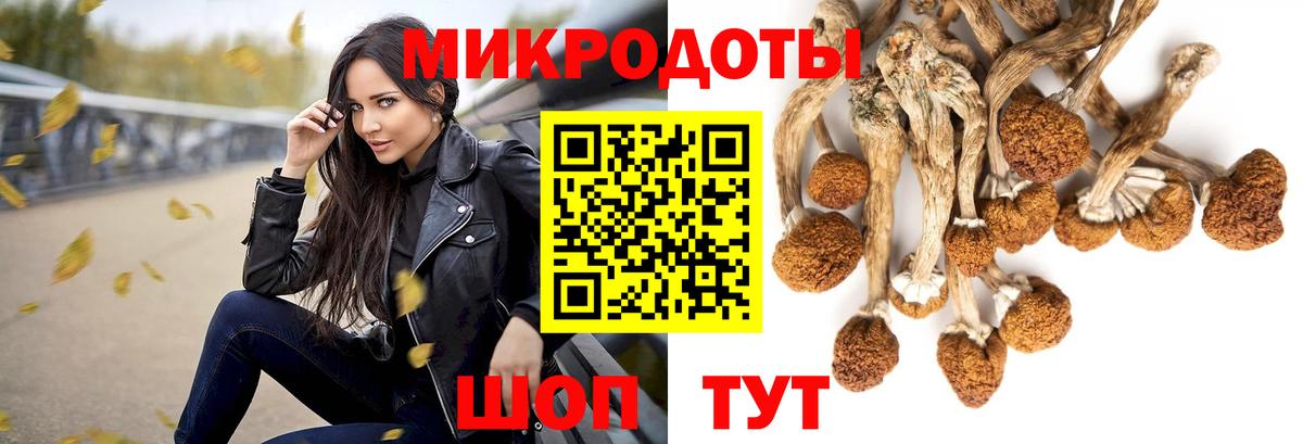Галлюциногенные грибы MAGIC MUSHROOMS  Вход с VPN  хочу   Строитель 
